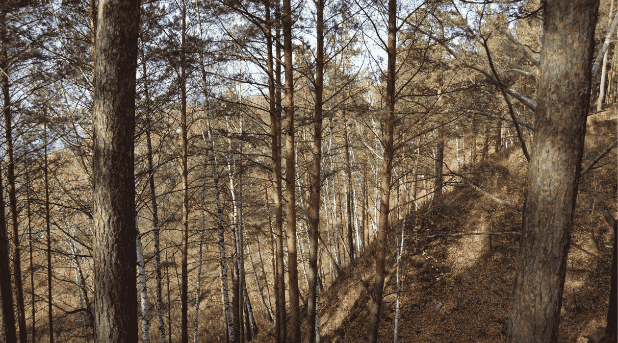 Duke of Edinburgh Expedition Walkie Talkies: Stay Connected and Safe